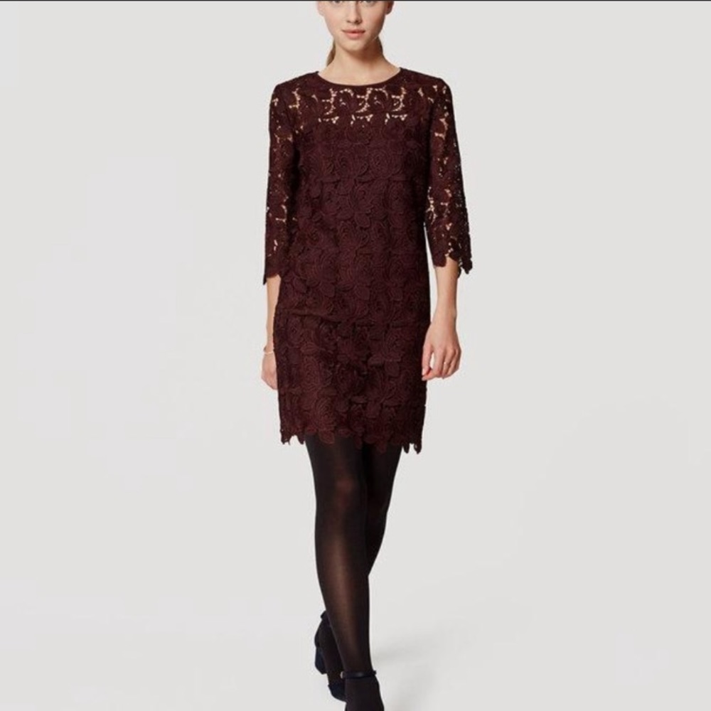 NWT Loft lace 3/4 sleeve sheath mini burgundy